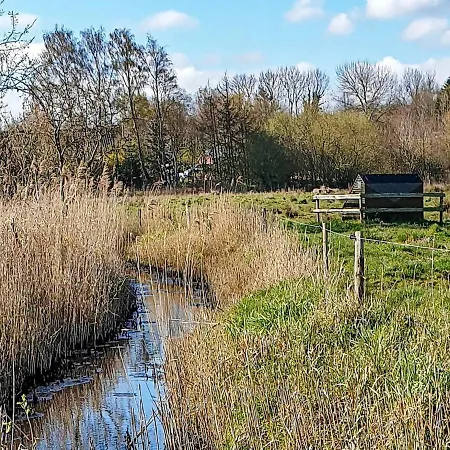 Feriehus 4 Person In Broager-by Traum